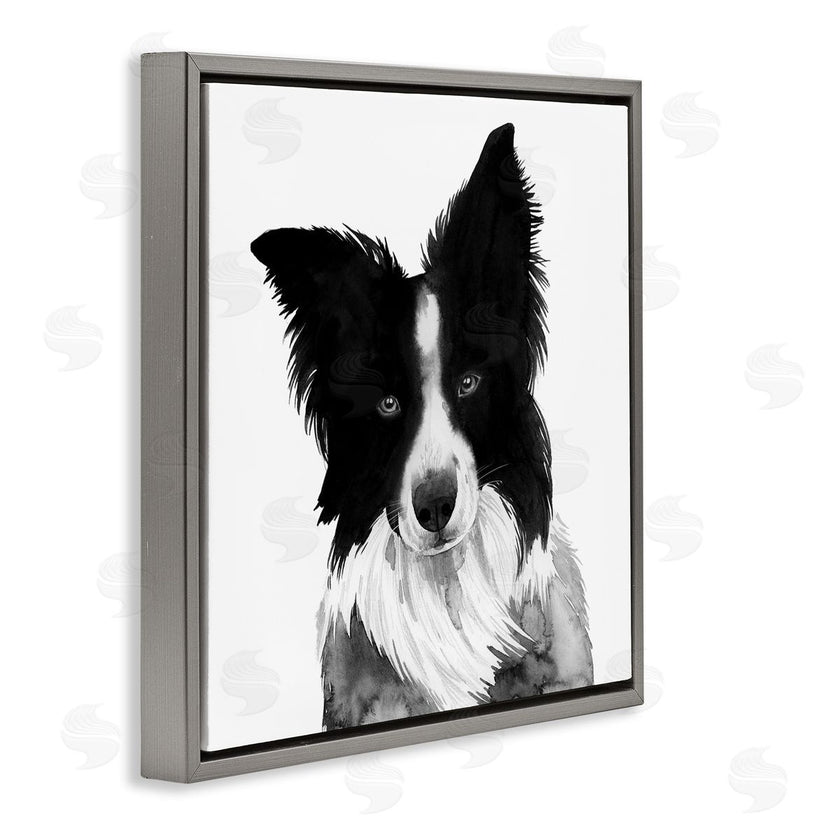 Grace Popp | Border Collie Pet Dog Portrait Black White