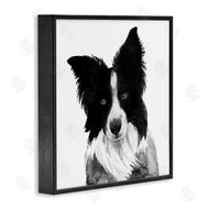 Grace Popp | Border Collie Pet Dog Portrait Black White