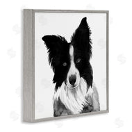 Grace Popp | Border Collie Pet Dog Portrait Black White