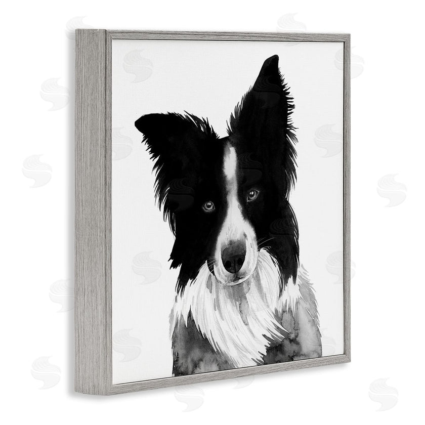 Grace Popp | Border Collie Pet Dog Portrait Black White
