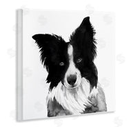 Grace Popp | Border Collie Pet Dog Portrait Black White