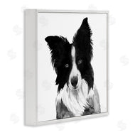 Grace Popp | Border Collie Pet Dog Portrait Black White