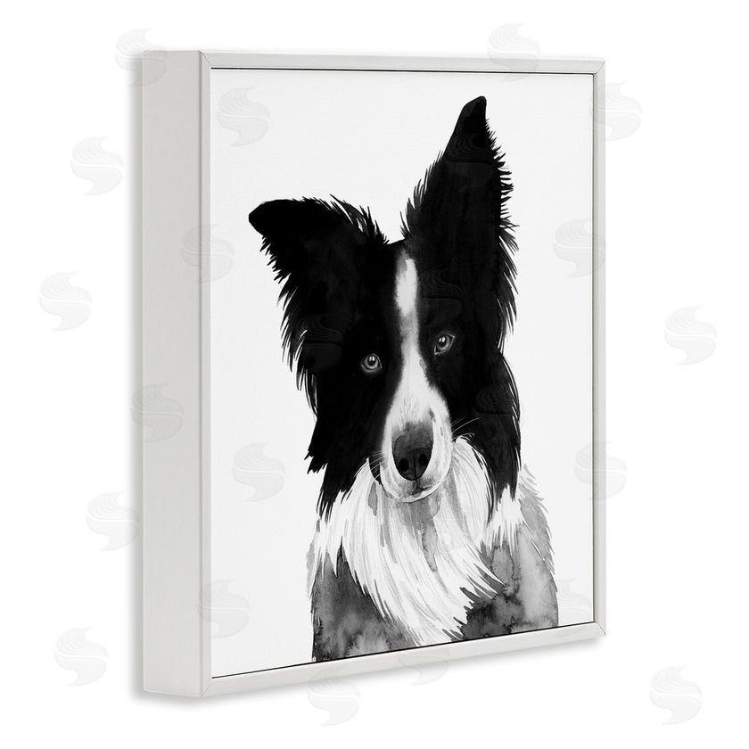 Grace Popp | Border Collie Pet Dog Portrait Black White
