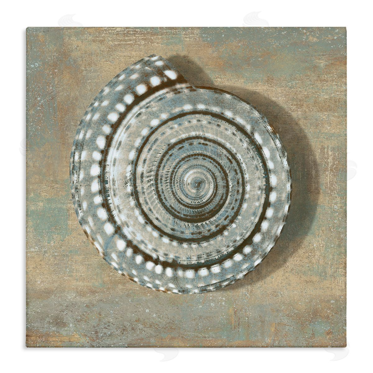 Caroline Kelly Nautical Spiral Shell Vintage Coastal Muted Neutral Canvas Wall Art
