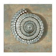 Caroline Kelly | Nautical Spiral Shell Vintage Coastal Muted Neutral
