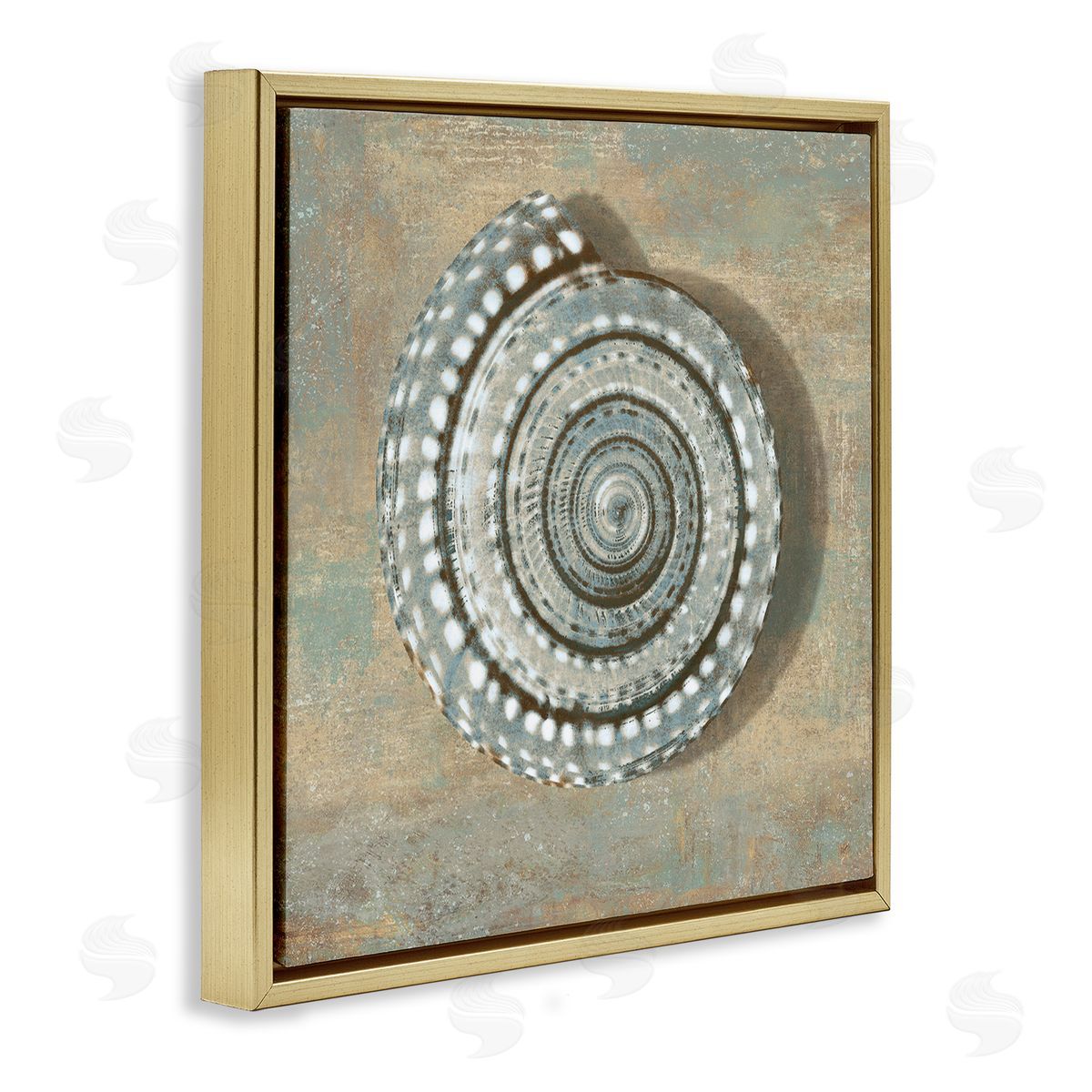 Caroline Kelly Nautical Spiral Shell Vintage Coastal Muted Neutral Gold Floater Frame Canvas Art
