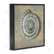 Caroline Kelly | Nautical Spiral Shell Vintage Coastal Muted Neutral