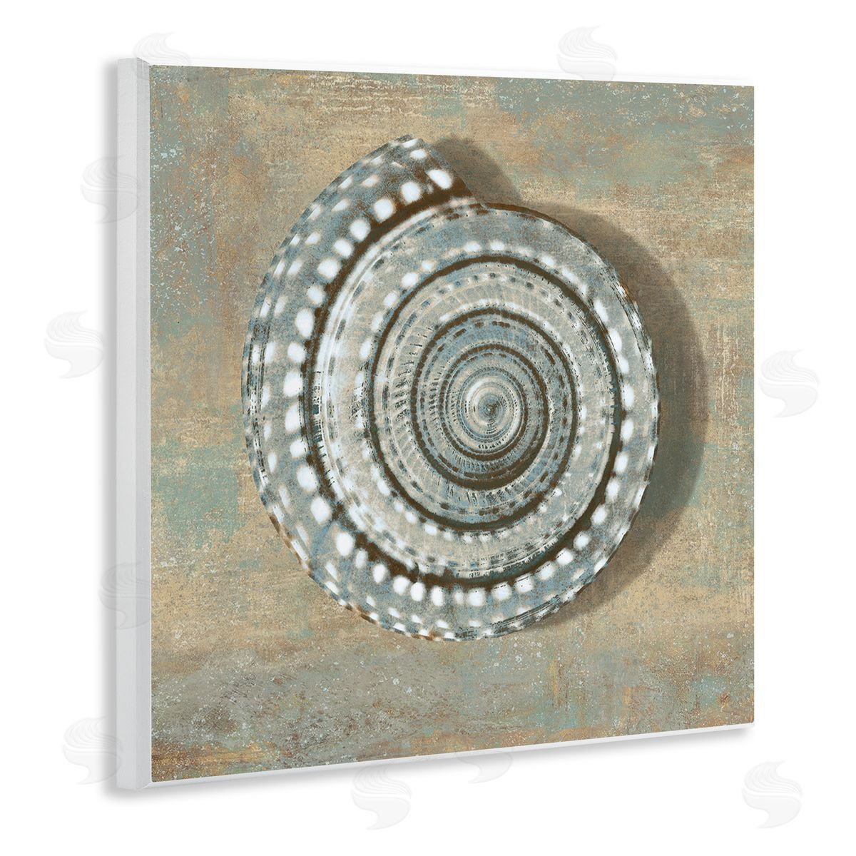 Caroline Kelly Nautical Spiral Shell Vintage Coastal Muted Neutral Wall Plaque Art