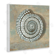 Caroline Kelly | Nautical Spiral Shell Vintage Coastal Muted Neutral
