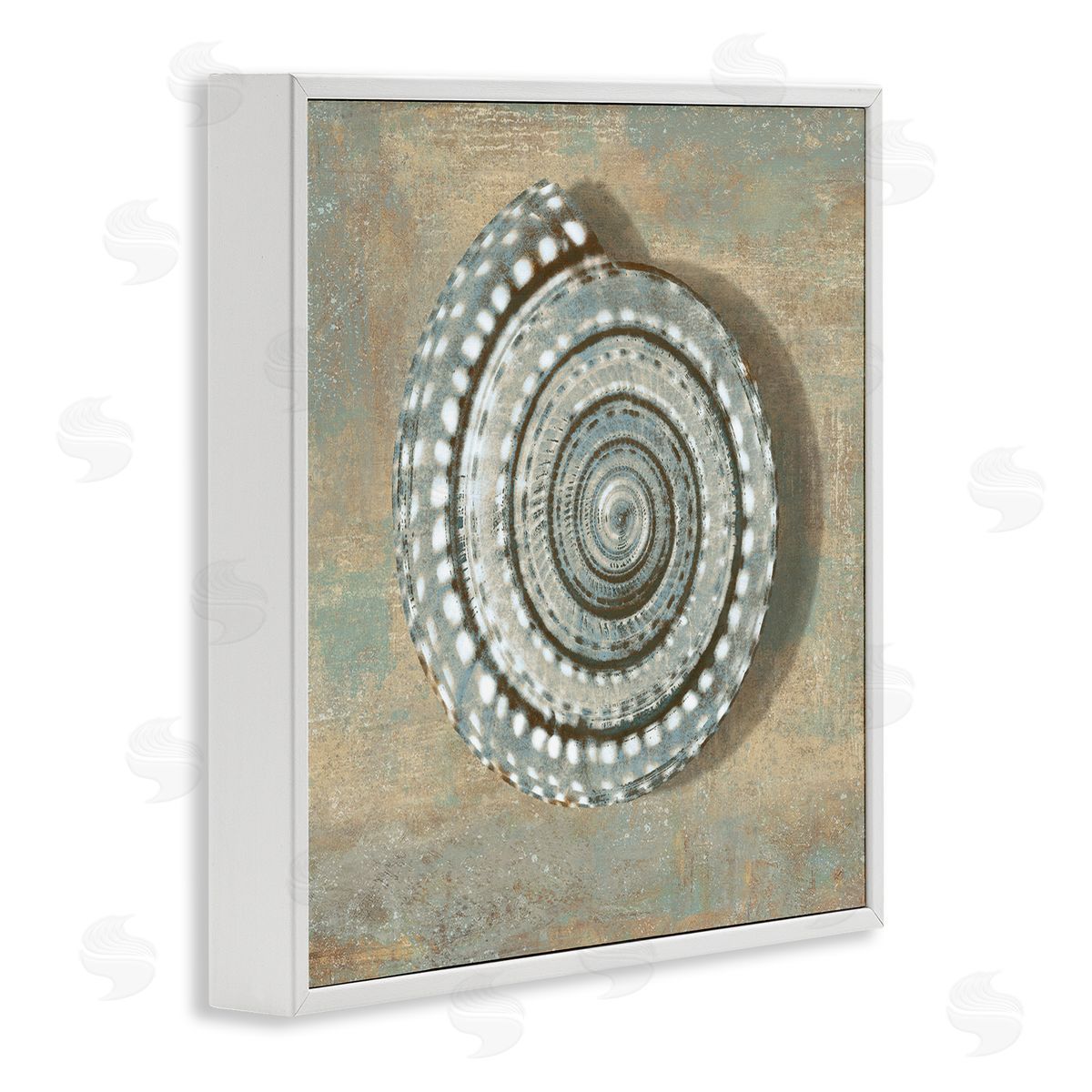 Caroline Kelly Nautical Spiral Shell Vintage Coastal Muted Neutral White Framed Giclee Wall Art