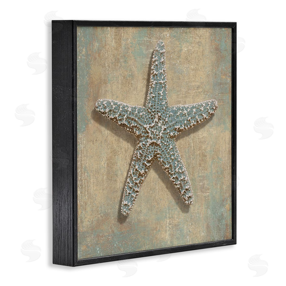 Caroline Kelly Nautical Starfish Ocean Animal Muted Neutral Black Framed Giclee Wall Art