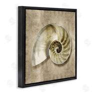 Caroline Kelly | Nautilus Shell Interior Intricate Animal Muted Neutral