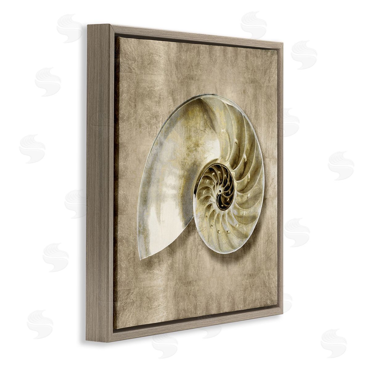 Caroline Kelly Nautilus Shell Interior Intricate Animal Muted Neutral Brown Floater Frame Canvas Art