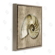 Caroline Kelly | Nautilus Shell Interior Intricate Animal Muted Neutral