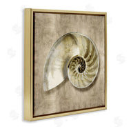 Caroline Kelly | Nautilus Shell Interior Intricate Animal Muted Neutral