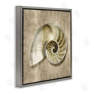 Caroline Kelly | Nautilus Shell Interior Intricate Animal Muted Neutral