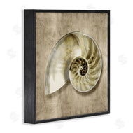 Caroline Kelly | Nautilus Shell Interior Intricate Animal Muted Neutral