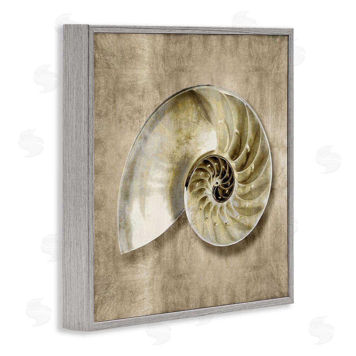 Caroline Kelly Nautilus Shell Interior Intricate Animal Muted Neutral Gray Framed Giclee Wall Art