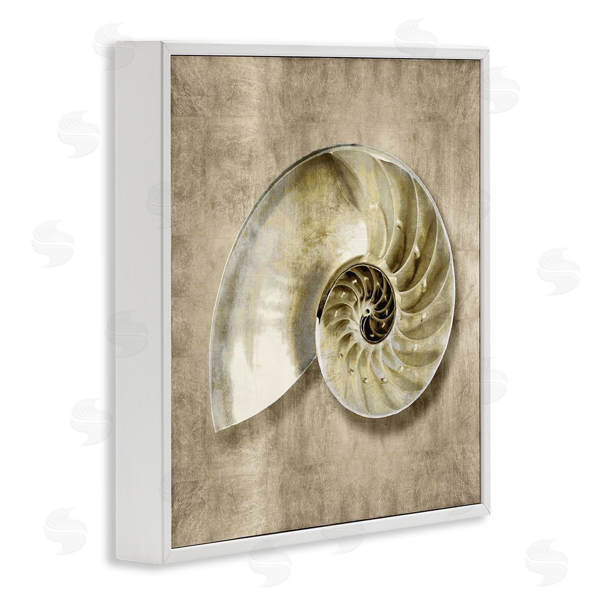 Caroline Kelly Nautilus Shell Interior Intricate Animal Muted Neutral White Framed Giclee Wall Art