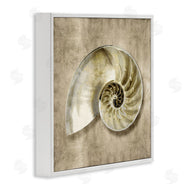 Caroline Kelly | Nautilus Shell Interior Intricate Animal Muted Neutral