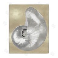 Caroline Kelly | Glam Nautilus Shell Soft Grey Neutral over Beige