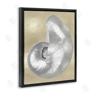 Caroline Kelly | Glam Nautilus Shell Soft Grey Neutral over Beige