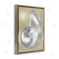 Caroline Kelly | Glam Nautilus Shell Soft Grey Neutral over Beige