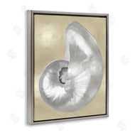 Caroline Kelly | Glam Nautilus Shell Soft Grey Neutral over Beige