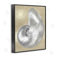 Caroline Kelly | Glam Nautilus Shell Soft Grey Neutral over Beige