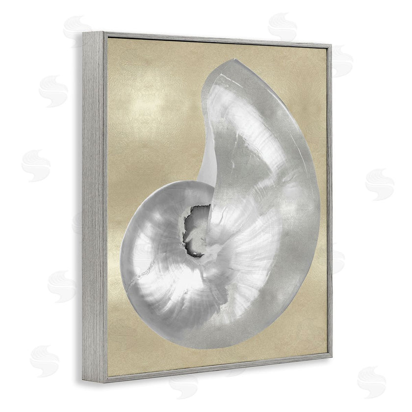 Caroline Kelly | Glam Nautilus Shell Soft Grey Neutral over Beige