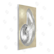 Caroline Kelly | Glam Nautilus Shell Soft Grey Neutral over Beige