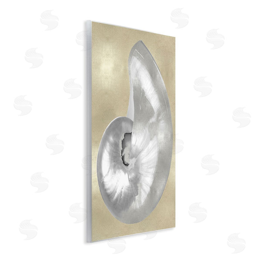 Caroline Kelly | Glam Nautilus Shell Soft Grey Neutral over Beige