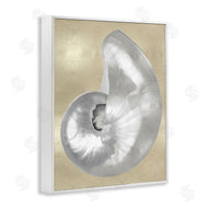 Caroline Kelly | Glam Nautilus Shell Soft Grey Neutral over Beige