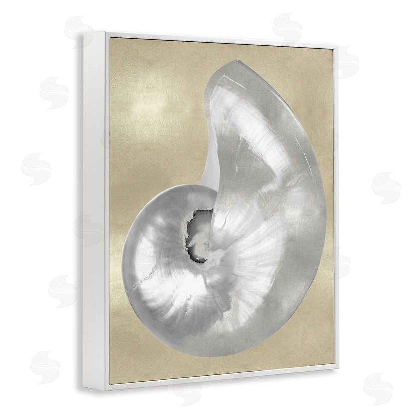Caroline Kelly | Glam Nautilus Shell Soft Grey Neutral over Beige