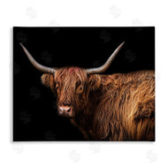Marika Moffit | Shaggy Farm Cattle Brown Country Animal