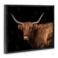 Marika Moffit | Shaggy Farm Cattle Brown Country Animal