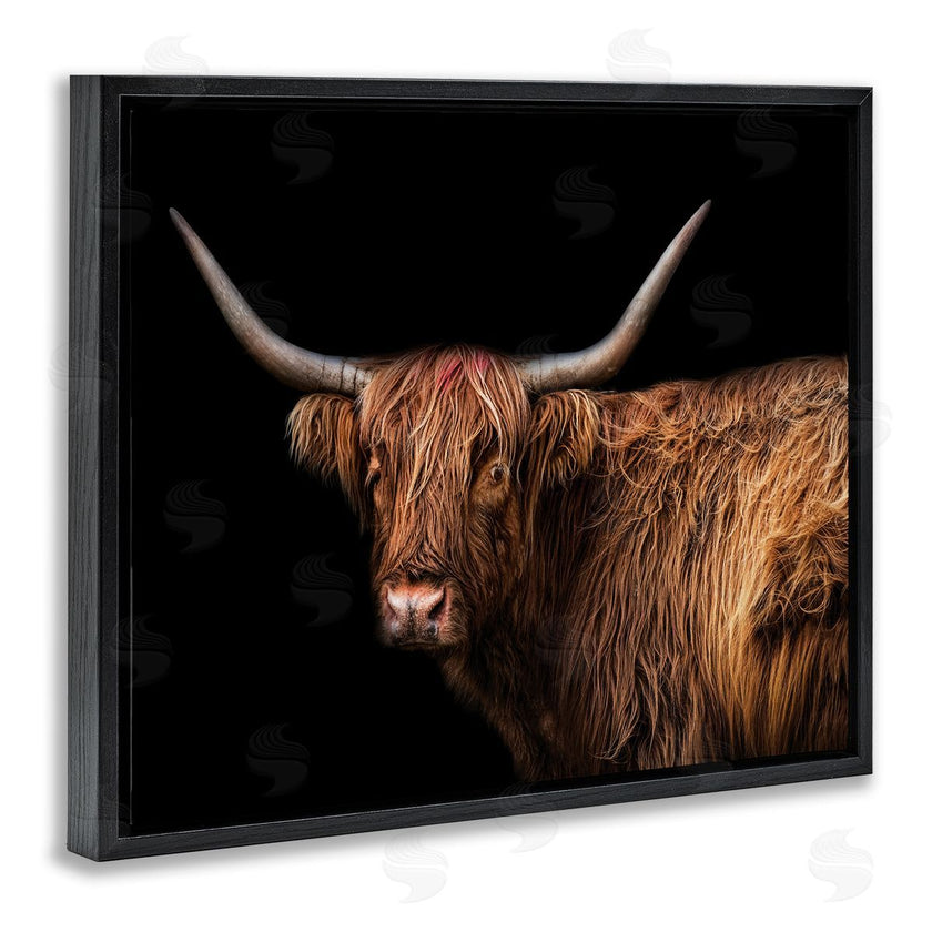 Marika Moffit | Shaggy Farm Cattle Brown Country Animal