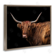 Marika Moffit | Shaggy Farm Cattle Brown Country Animal