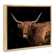 Marika Moffit | Shaggy Farm Cattle Brown Country Animal