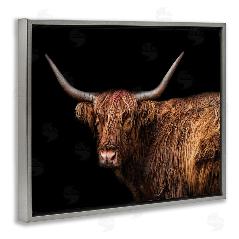 Marika Moffit | Shaggy Farm Cattle Brown Country Animal