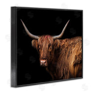 Marika Moffit | Shaggy Farm Cattle Brown Country Animal