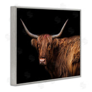 Marika Moffit | Shaggy Farm Cattle Brown Country Animal