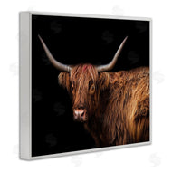 Marika Moffit | Shaggy Farm Cattle Brown Country Animal