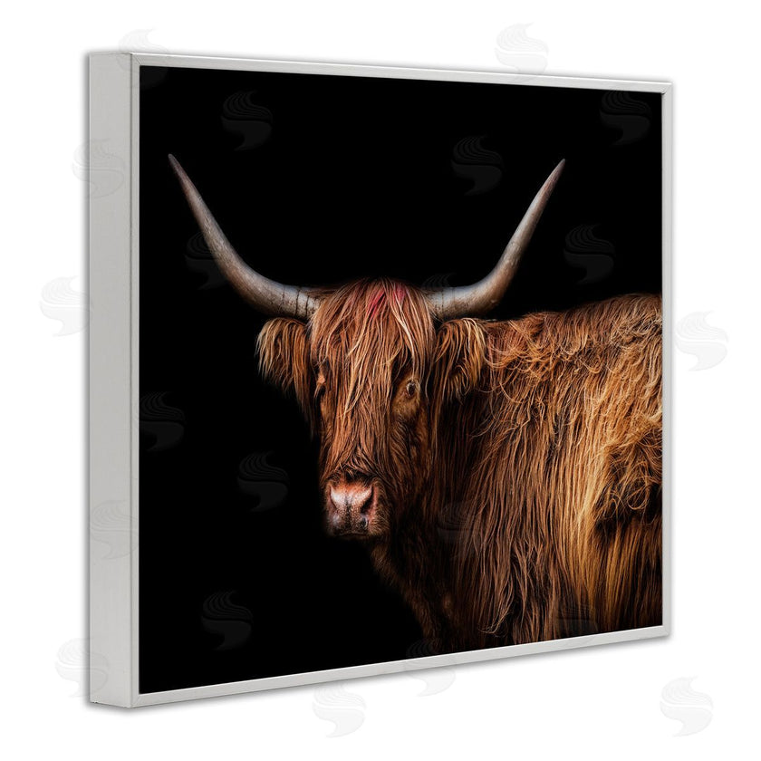 Marika Moffit | Shaggy Farm Cattle Brown Country Animal
