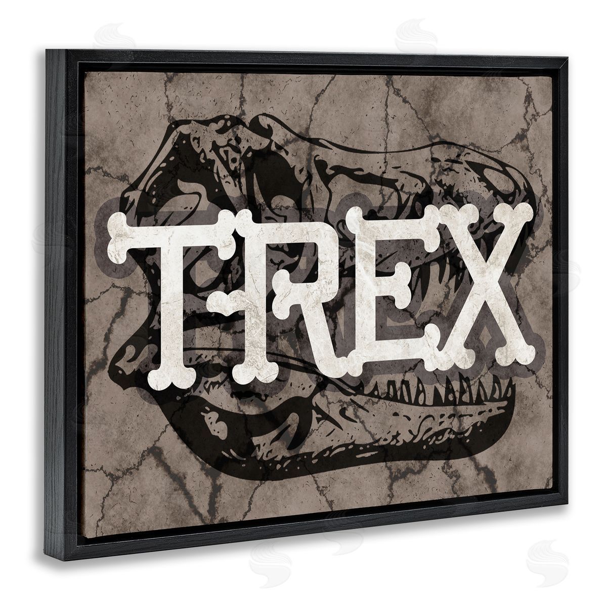 Stupell Studio T-Rex Bone Typography Large Dinosaur Skull Black Floater Frame Canvas Art