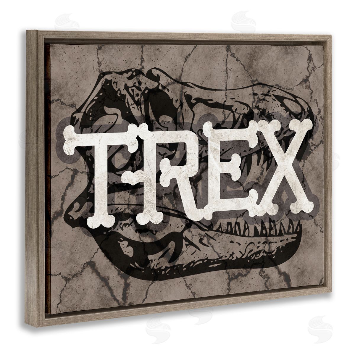 Stupell Studio T-Rex Bone Typography Large Dinosaur Skull Brown Floater Frame Canvas Art