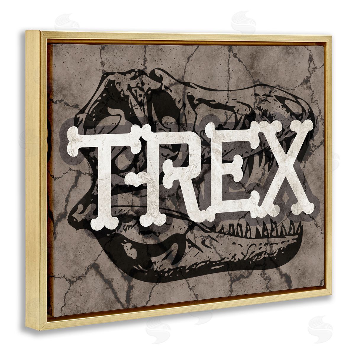 Stupell Studio T-Rex Bone Typography Large Dinosaur Skull Gold Floater Frame Canvas Art