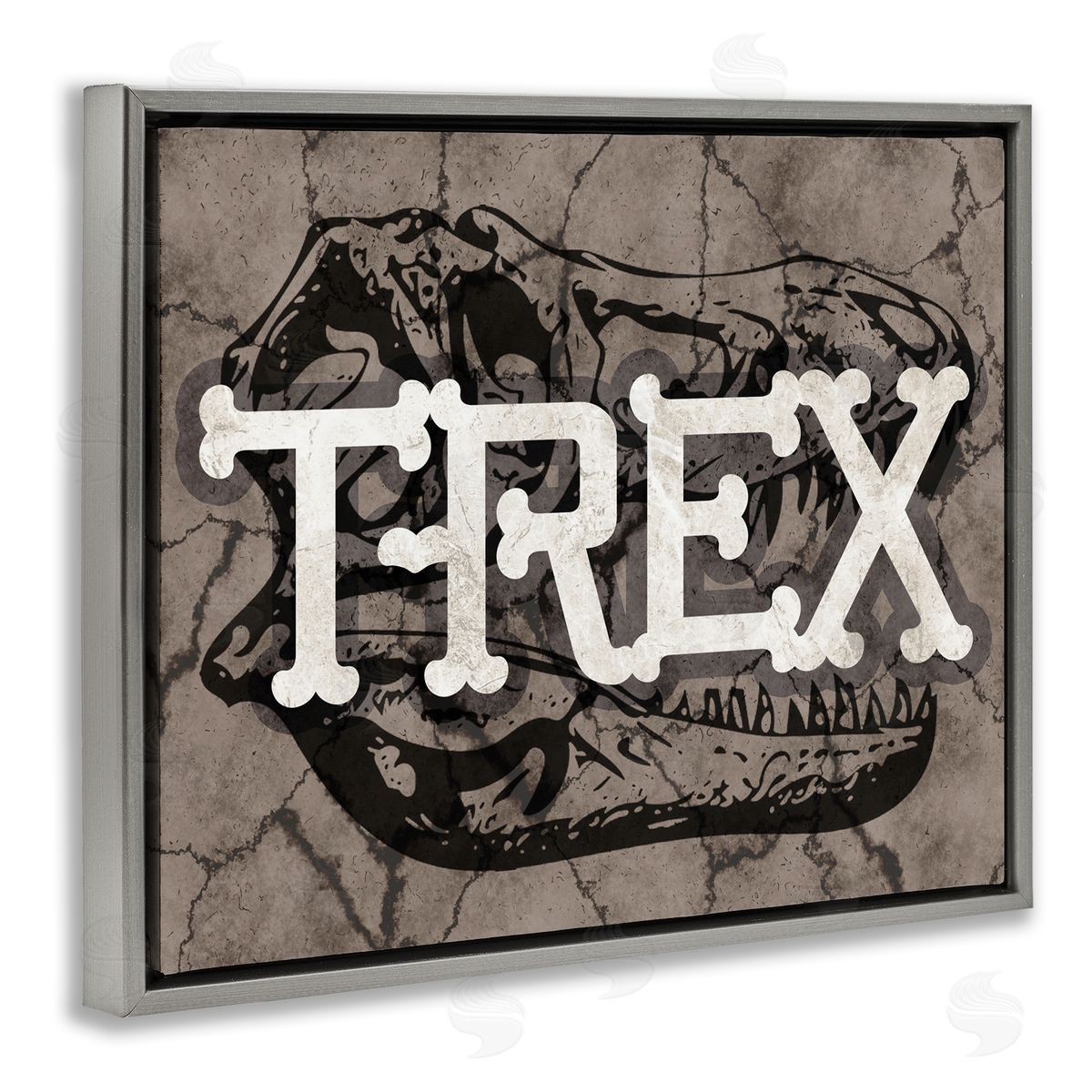 Stupell Studio T-Rex Bone Typography Large Dinosaur Skull Gray Floater Frame Canvas Art