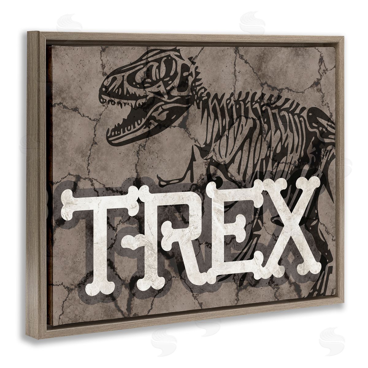 Stupell Studio Ancient T-Rex Skeleton Large Reptile Bone Typography Brown Floater Frame Canvas Art