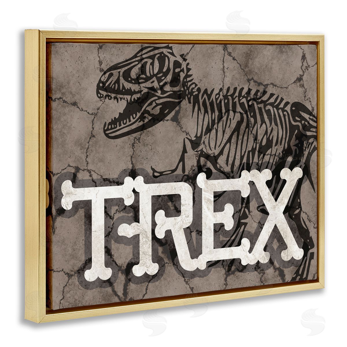 Stupell Studio Ancient T-Rex Skeleton Large Reptile Bone Typography Gold Floater Frame Canvas Art